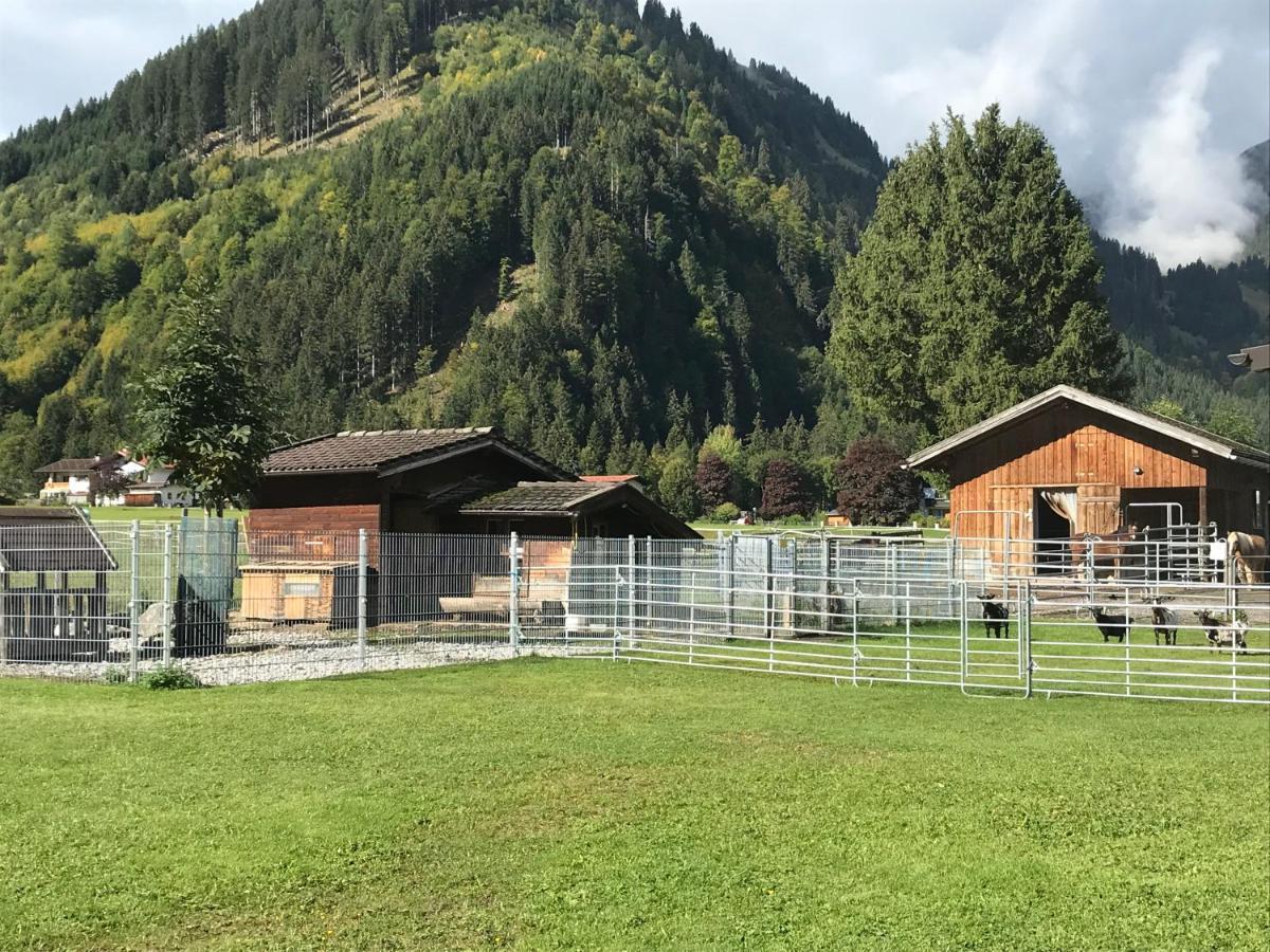 Pony-Ziegen-Hasen-Ranch Bichlbach Leilighet Eksteriør bilde