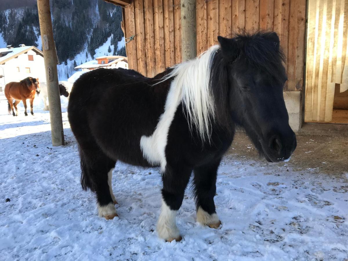 Pony-Ziegen-Hasen-Ranch Bichlbach Leilighet Eksteriør bilde