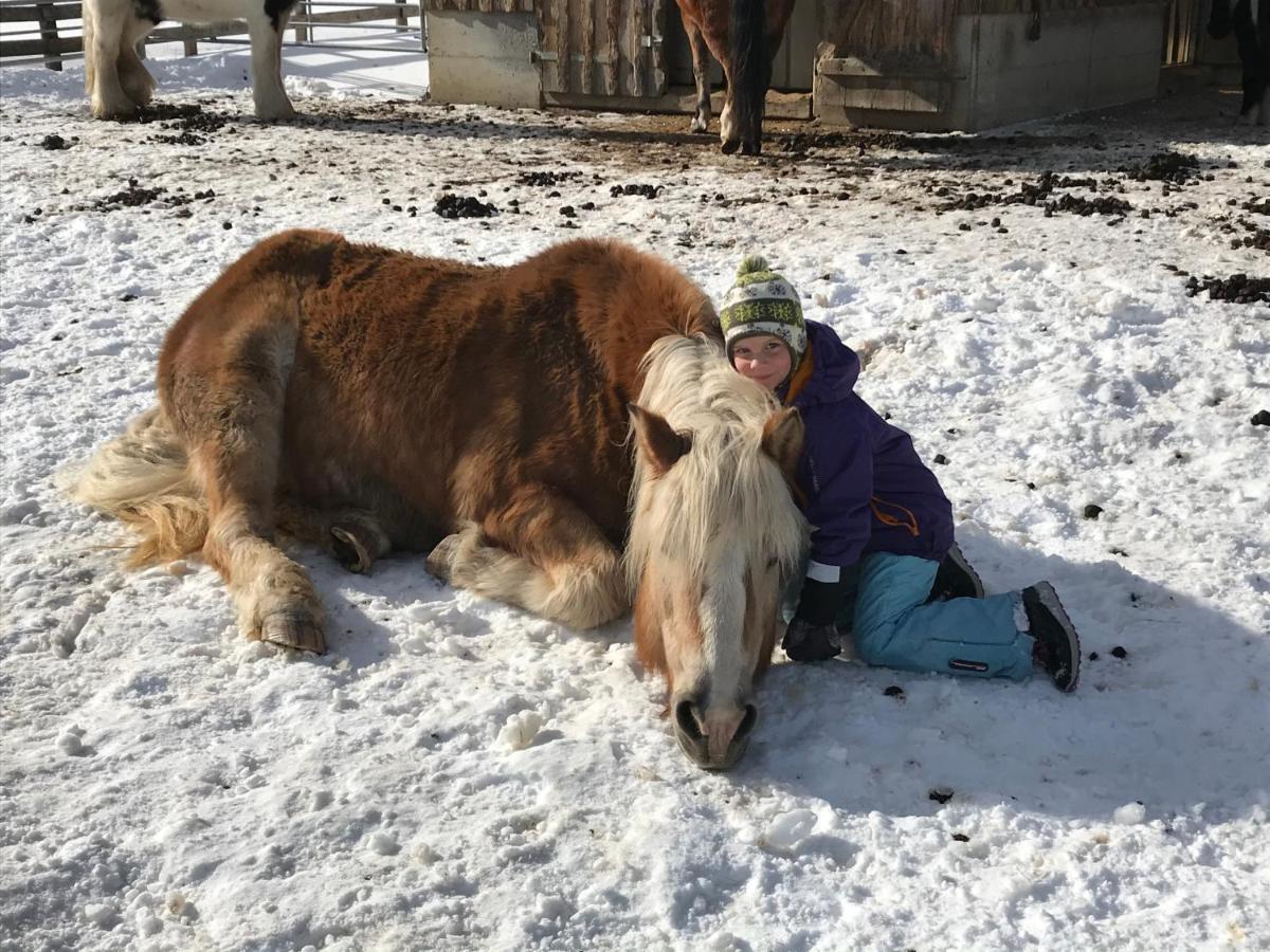 Pony-Ziegen-Hasen-Ranch Bichlbach Leilighet Eksteriør bilde