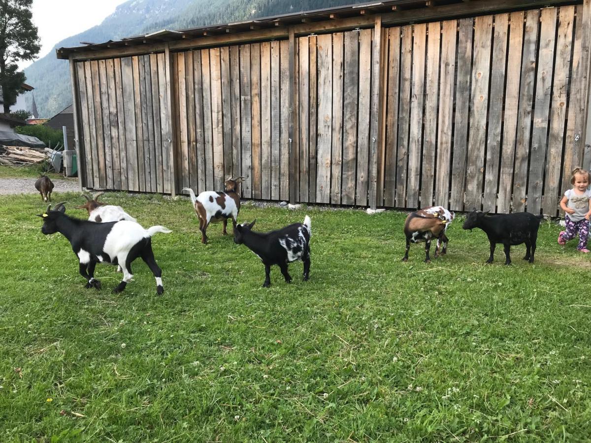 Pony-Ziegen-Hasen-Ranch Bichlbach Leilighet Eksteriør bilde